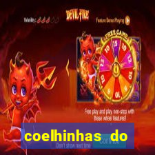 coelhinhas do brasil jp